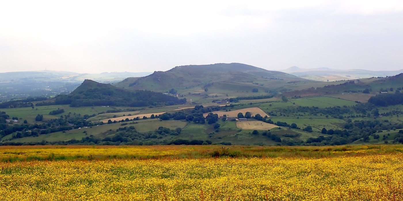 Buttercup meadow with Hen Cloud and The Roaches beyond, Staffordshire Moorlands